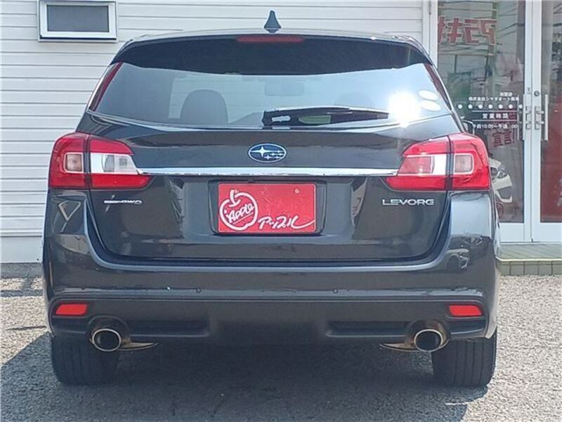 LEVORG