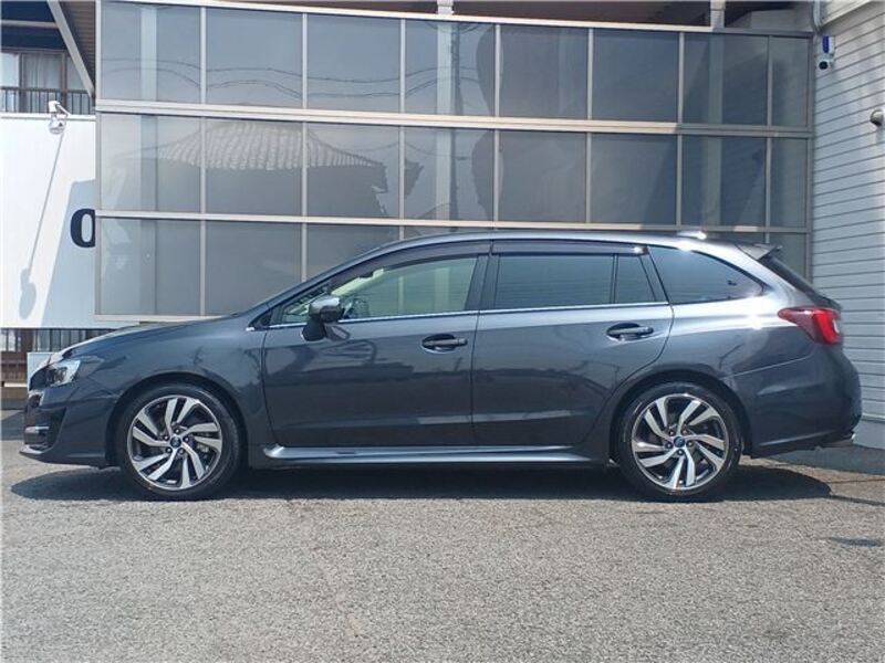 LEVORG