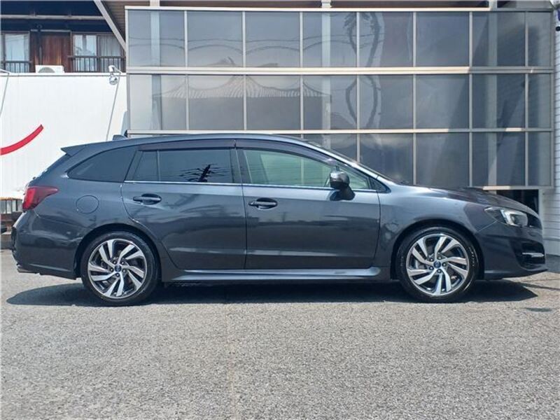 LEVORG