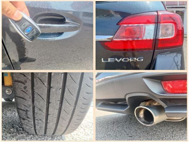 LEVORG