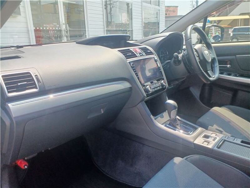 LEVORG