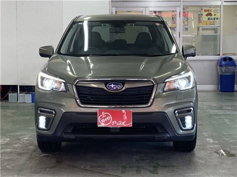 FORESTER
