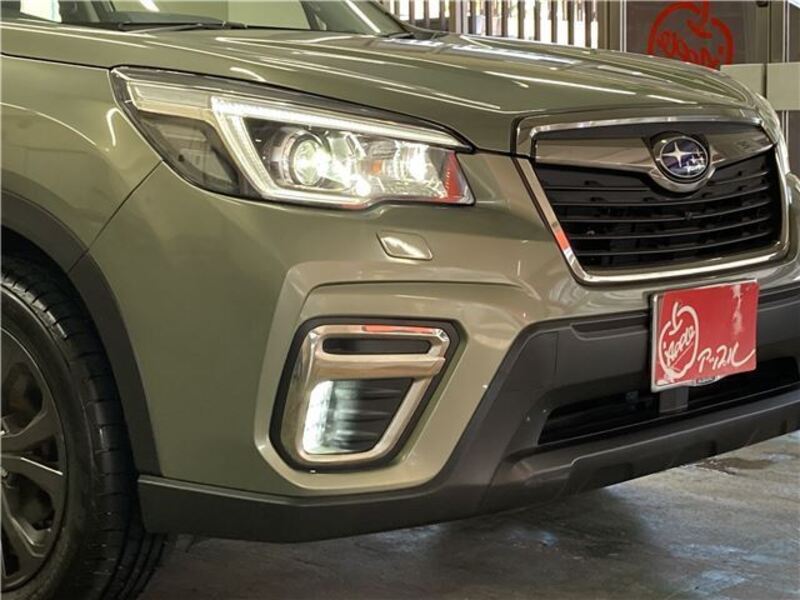 FORESTER