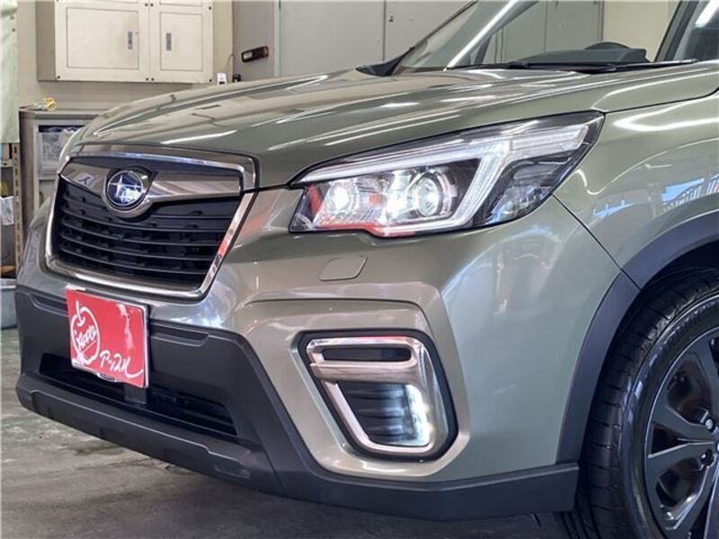 FORESTER