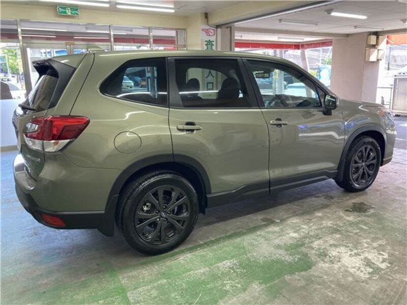 FORESTER
