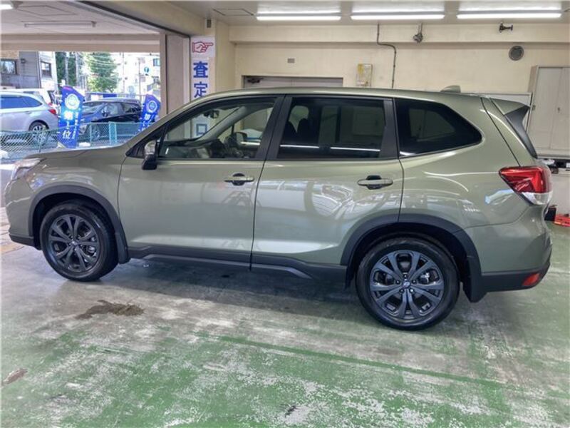 FORESTER