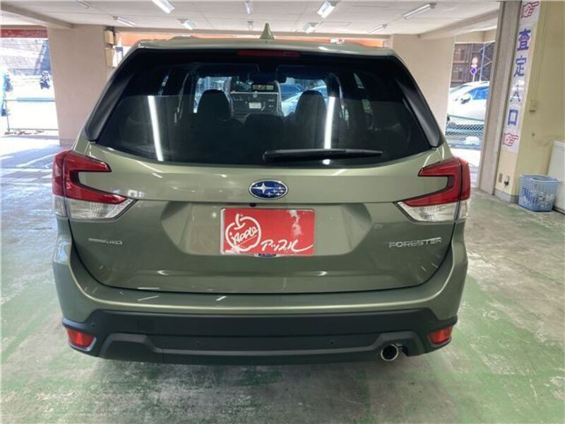 FORESTER