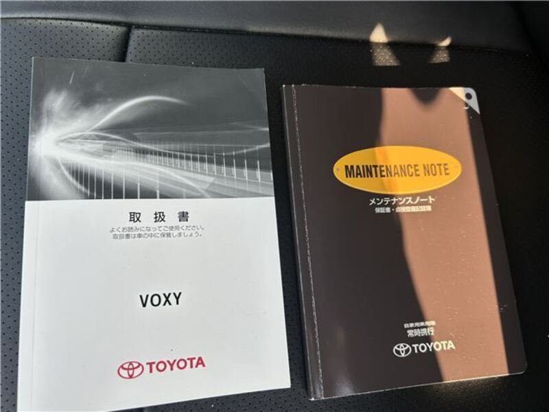VOXY
