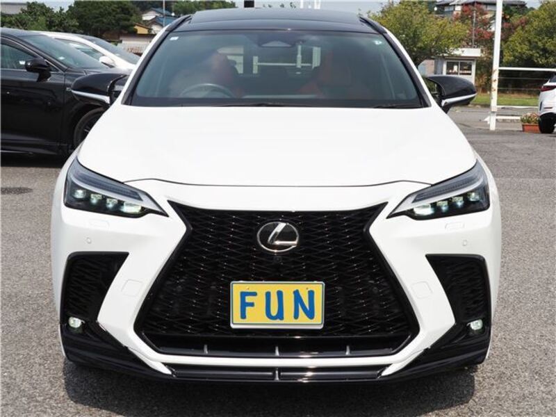 NX