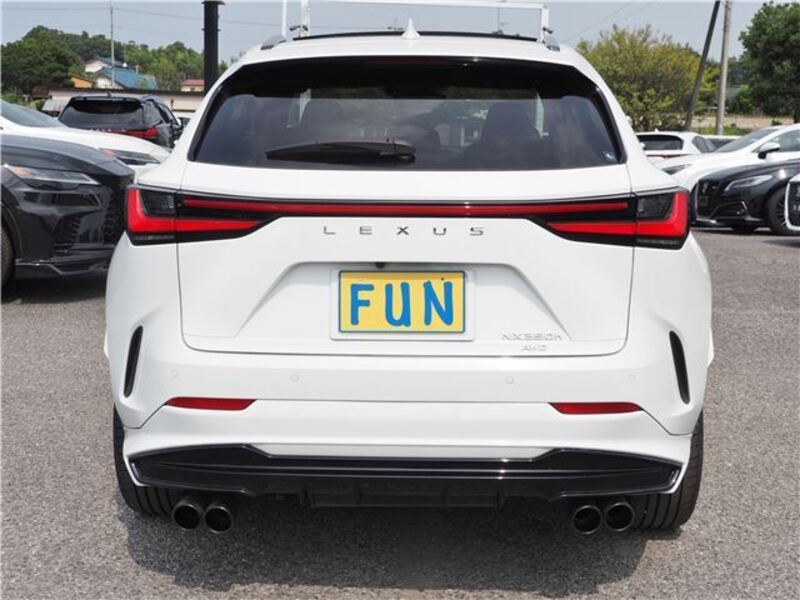 NX