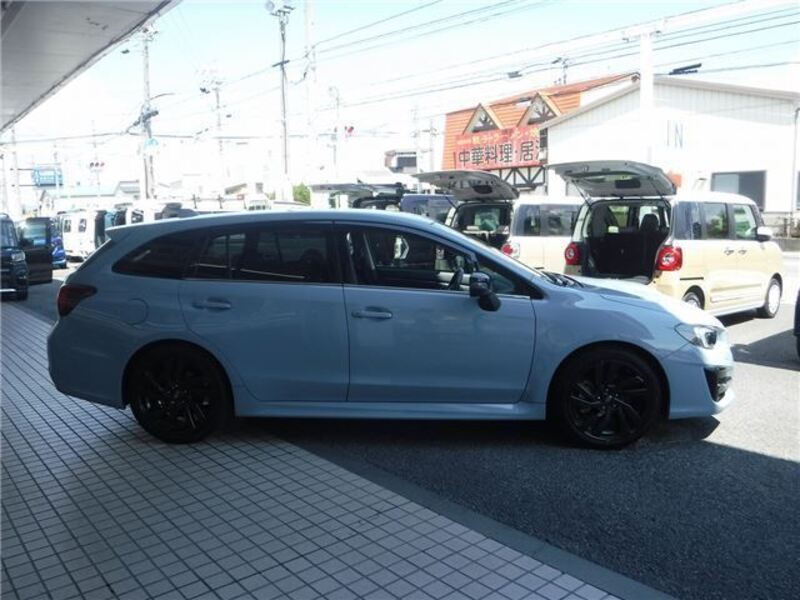 LEVORG