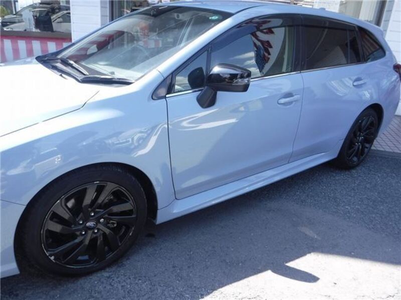 LEVORG