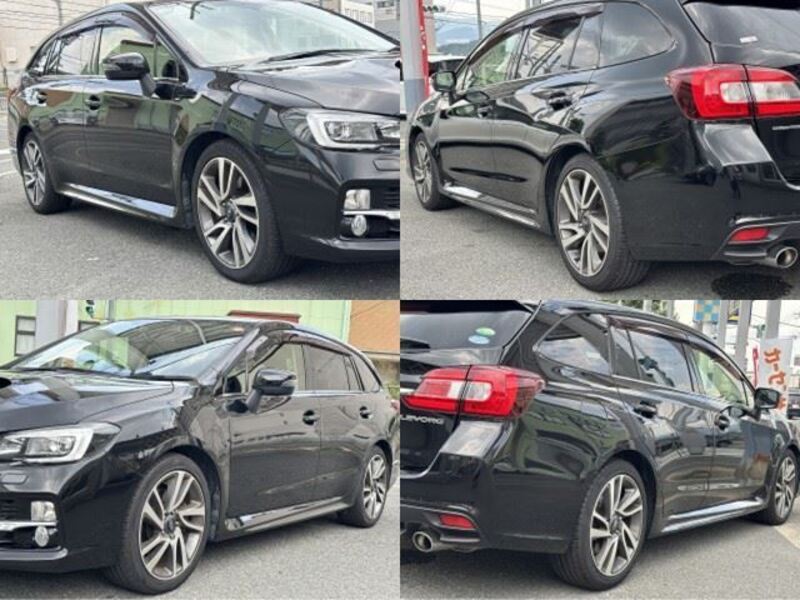 LEVORG
