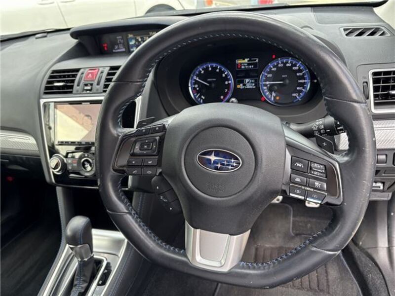 LEVORG