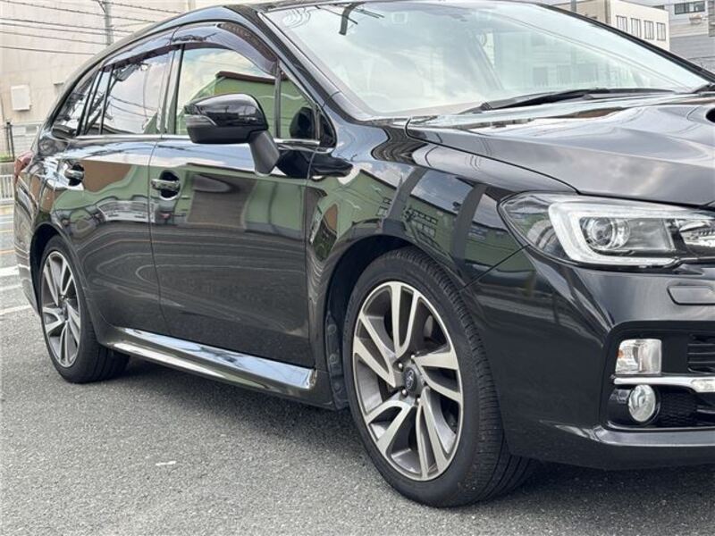 LEVORG