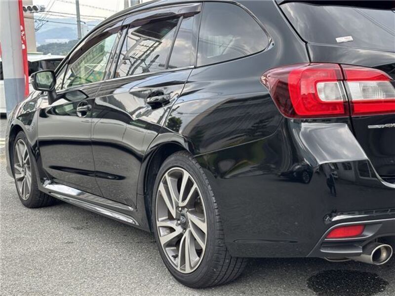 LEVORG