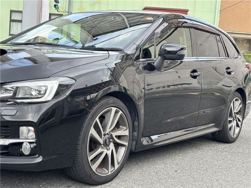 LEVORG