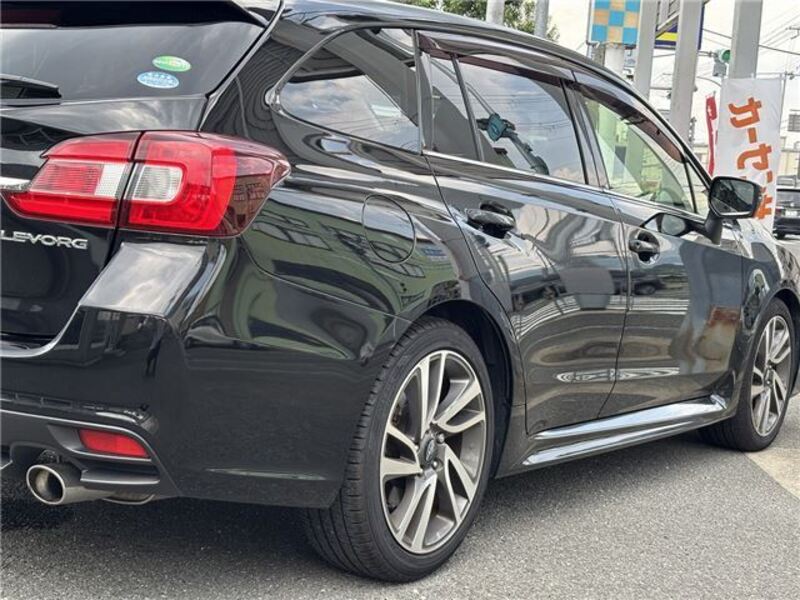 LEVORG
