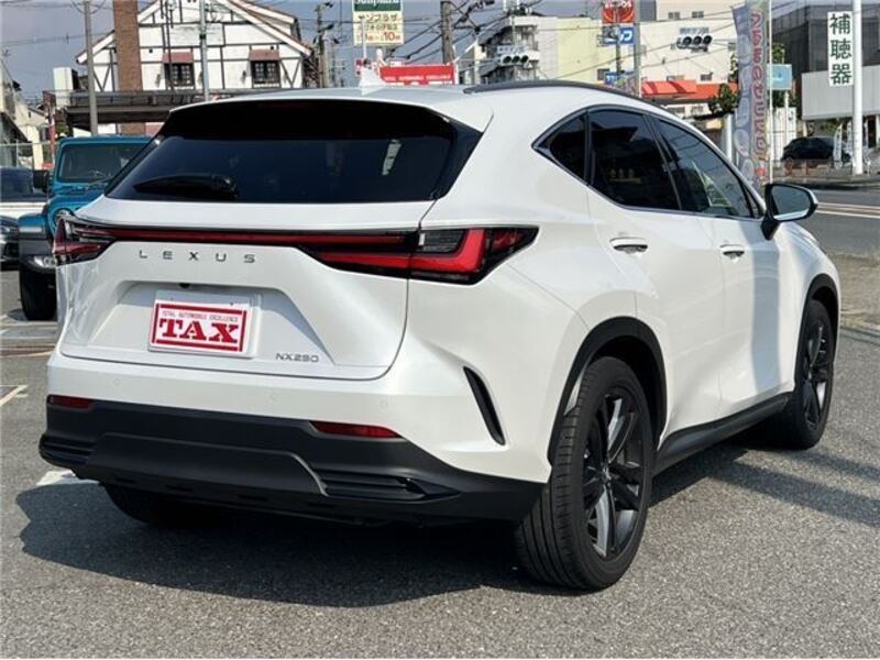 NX