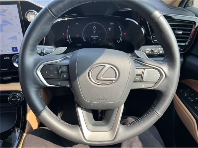 NX