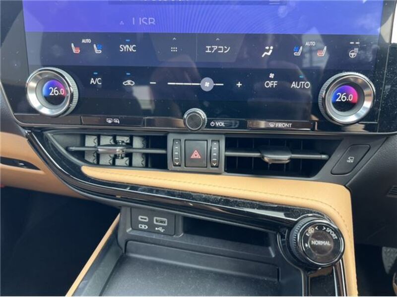 NX