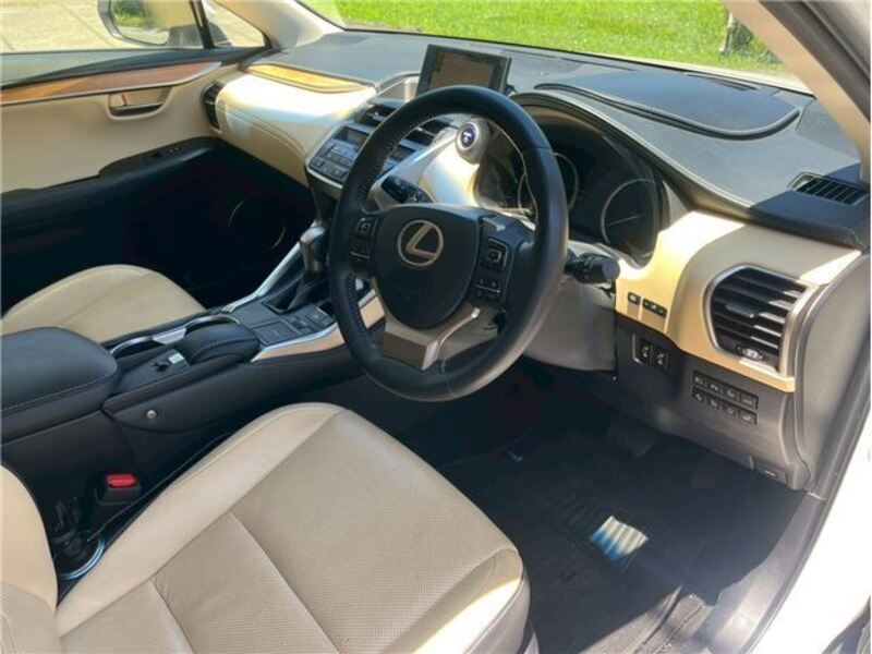 NX