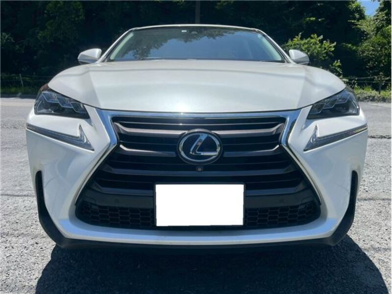 NX