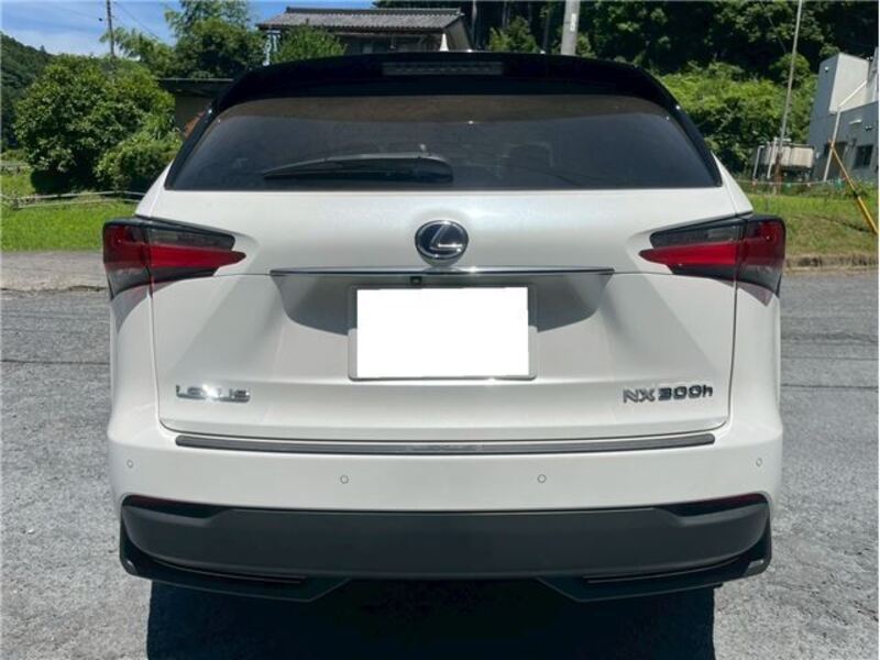 NX