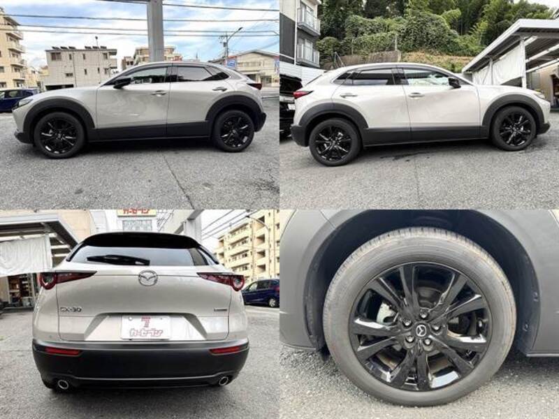 CX-30