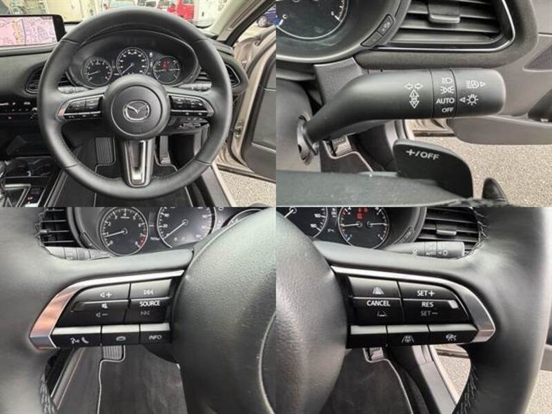 CX-30