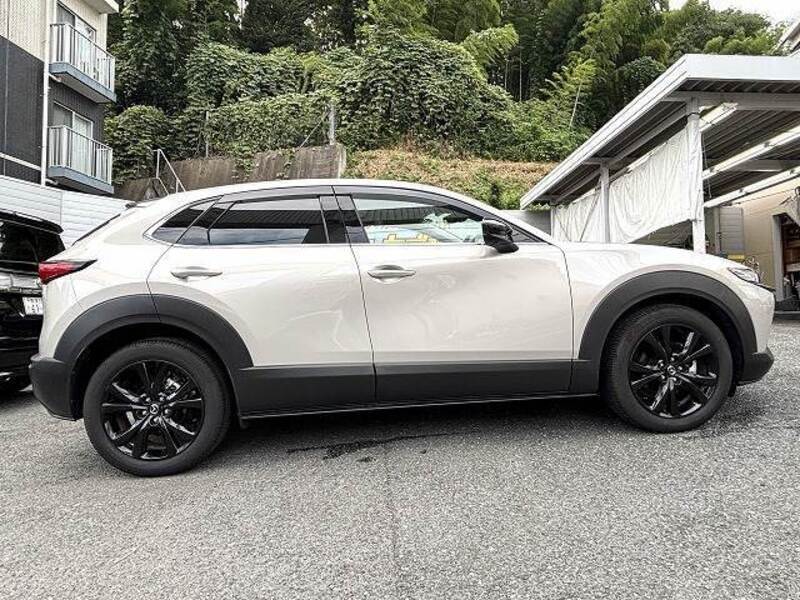 CX-30