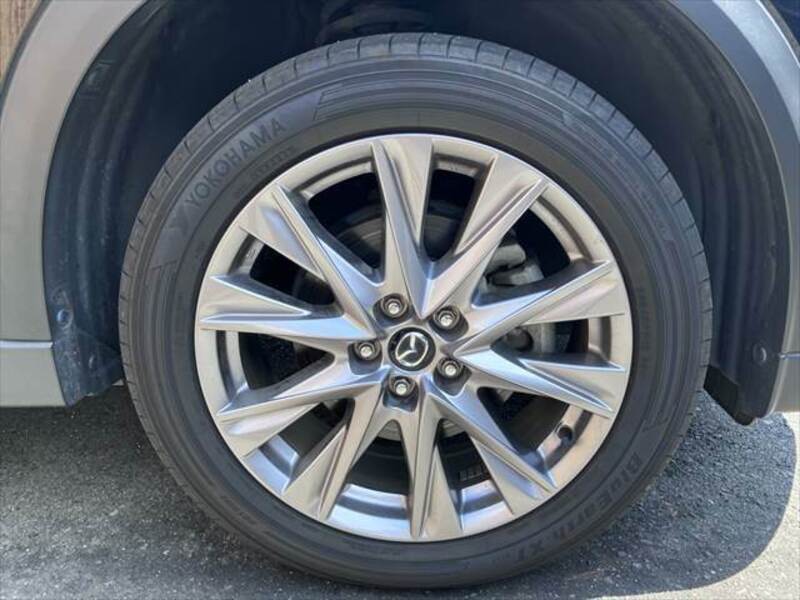CX-8