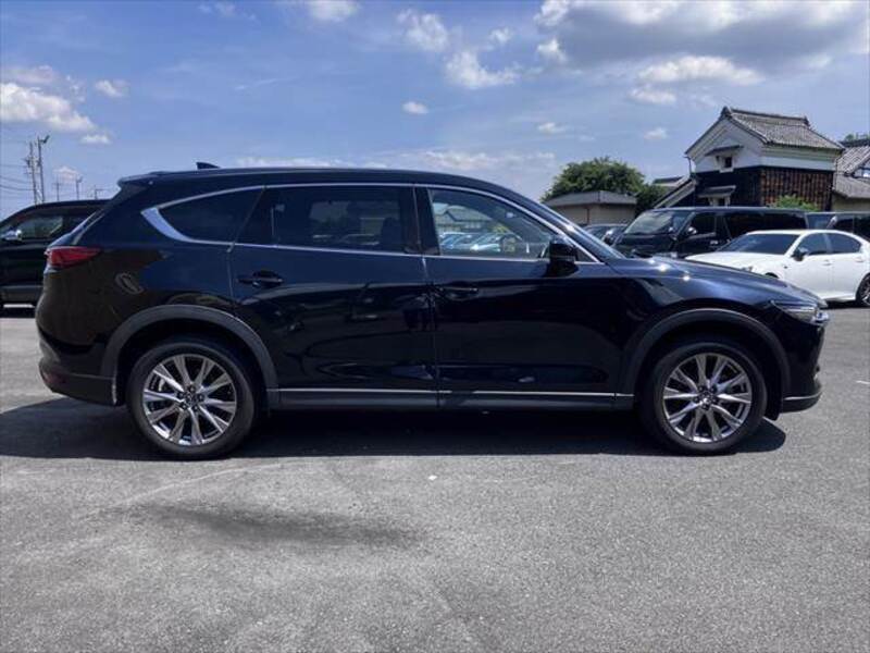 CX-8