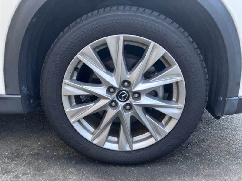 CX-8