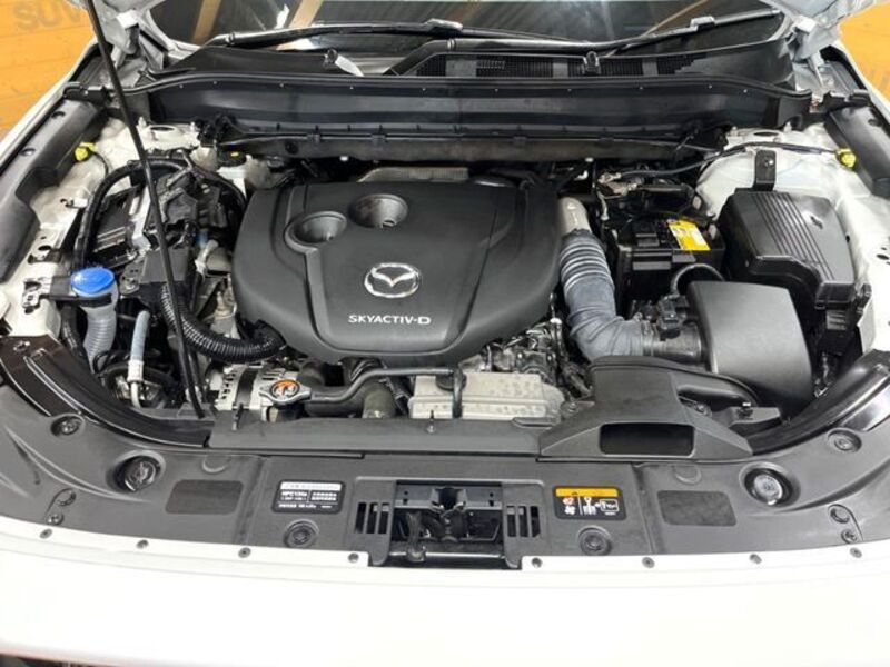 CX-8