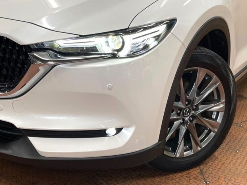 CX-8
