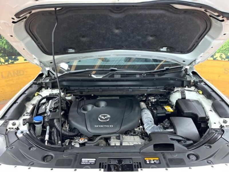 CX-8