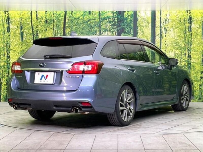 LEVORG