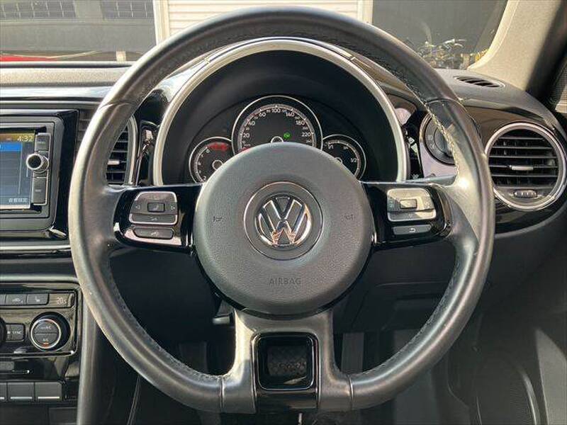 THE BEETLE