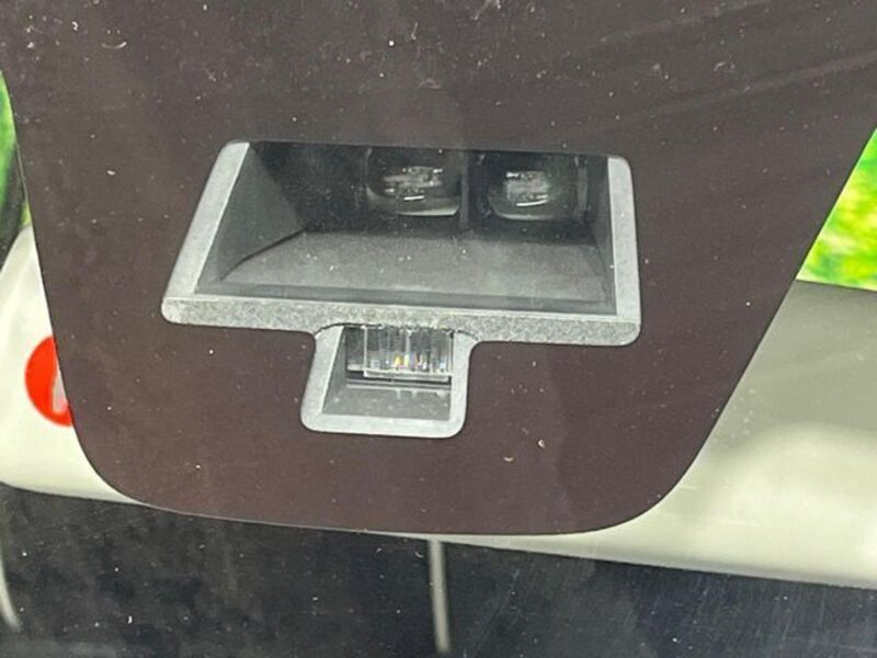 HUSTLER