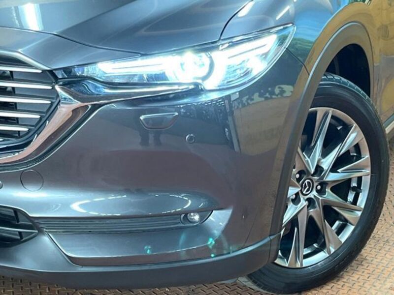 CX-8