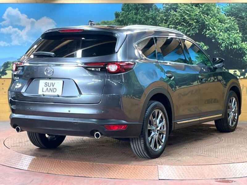 CX-8