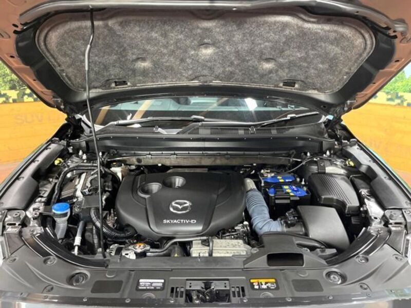 CX-8