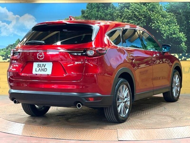 CX-8