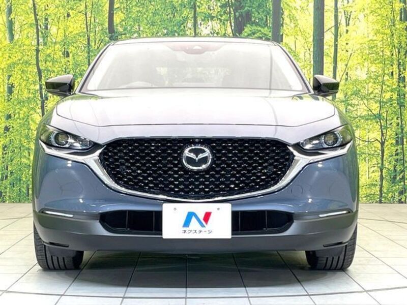 CX-30