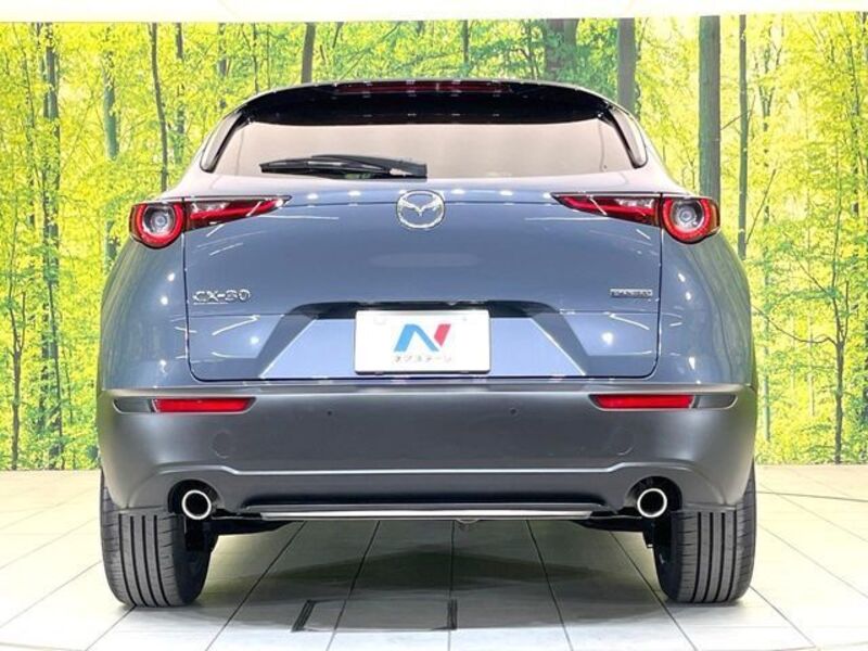 CX-30