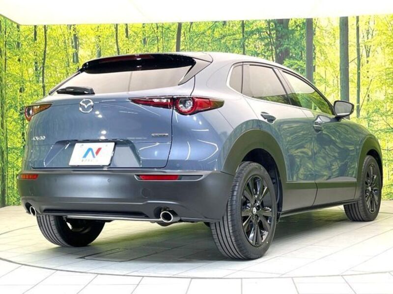 CX-30