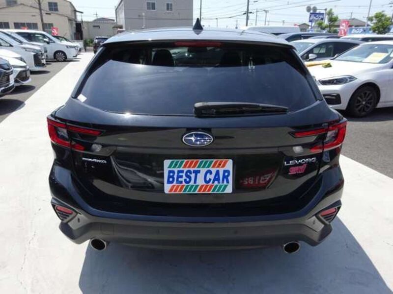 LEVORG