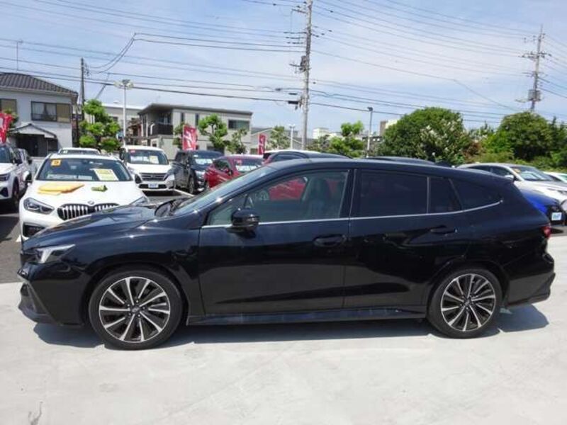LEVORG
