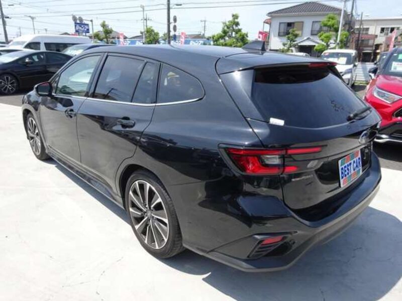 LEVORG